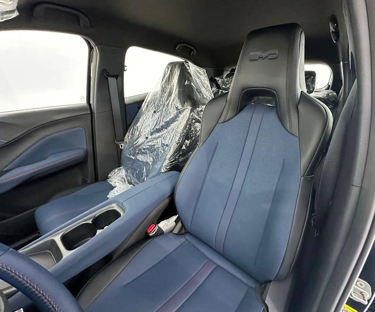 BYD Dolphin Mini - Imagem 19