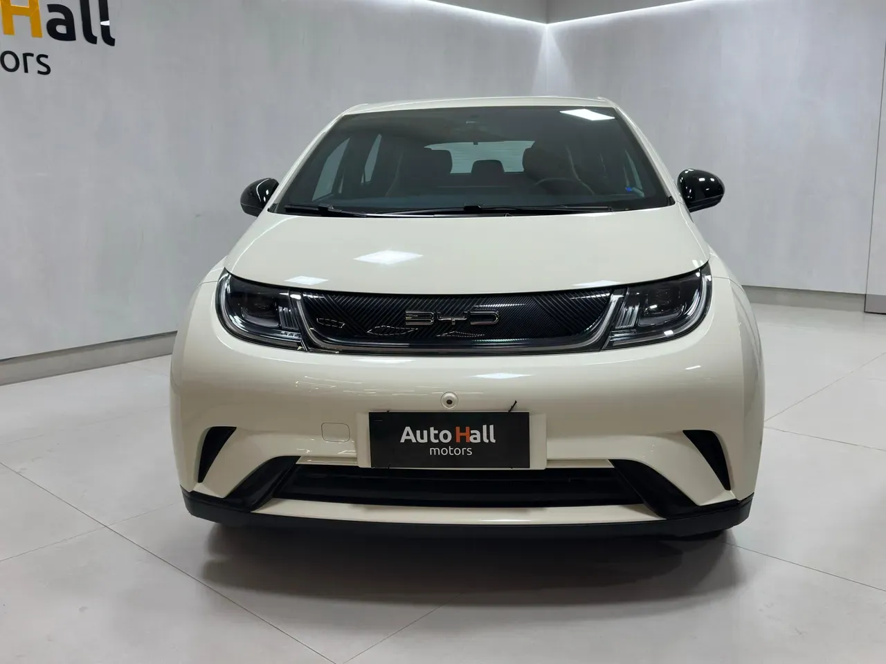 BYD Dolphin - Imagem 2