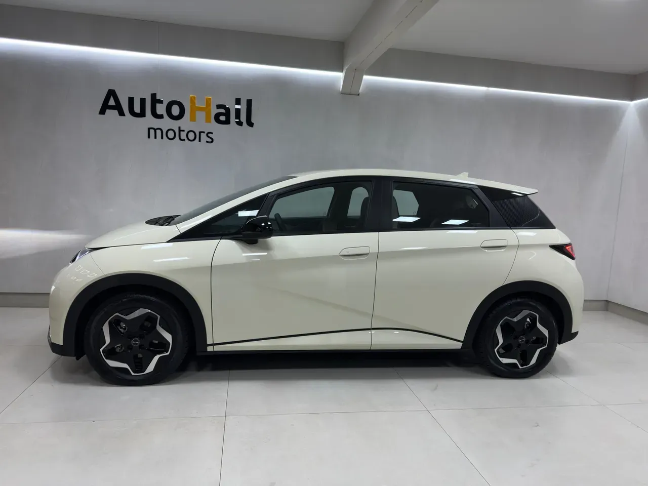 BYD Dolphin - Imagem 8