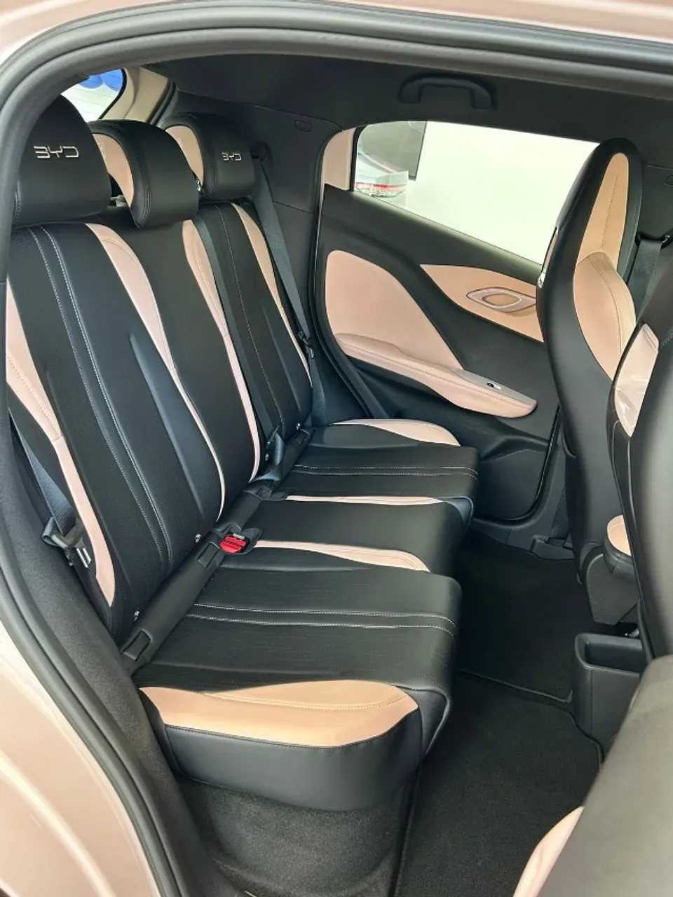 BYD Dolphin Mini - Imagem 6