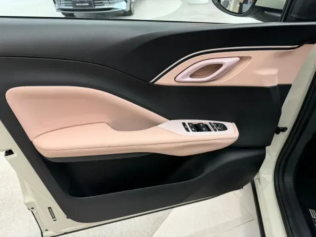 BYD Dolphin Mini - Imagem 12