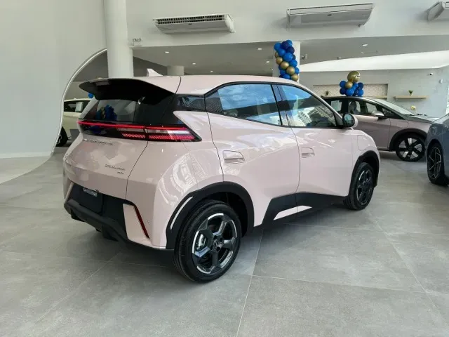 BYD Dolphin Mini - Imagem 15