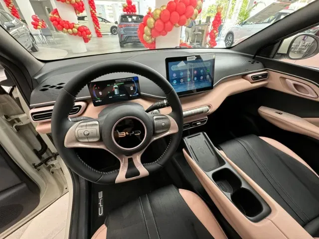 BYD Dolphin Mini - Imagem 16