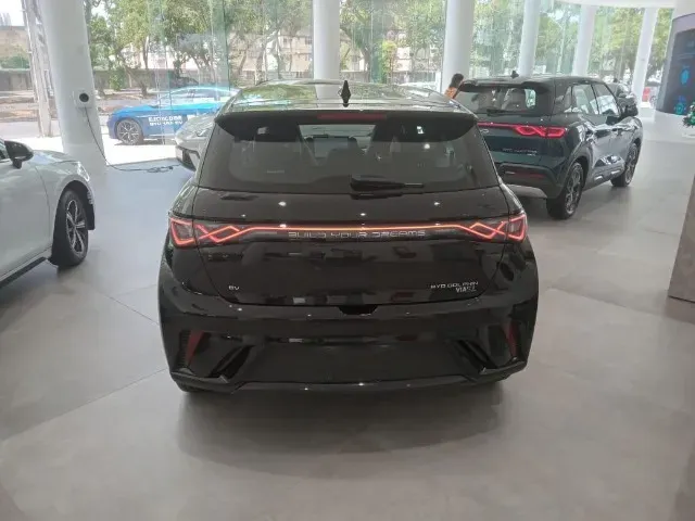 BYD Dolphin Plus - Imagem 13