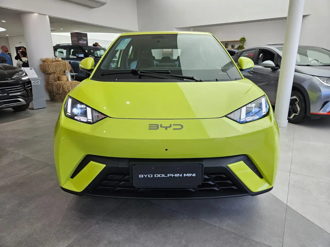 BYD Dolphin Mini - Imagem 2