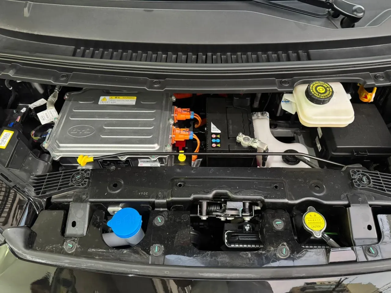 BYD Dolphin Mini - Imagem 11