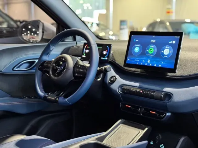 BYD Dolphin Mini - Imagem 17