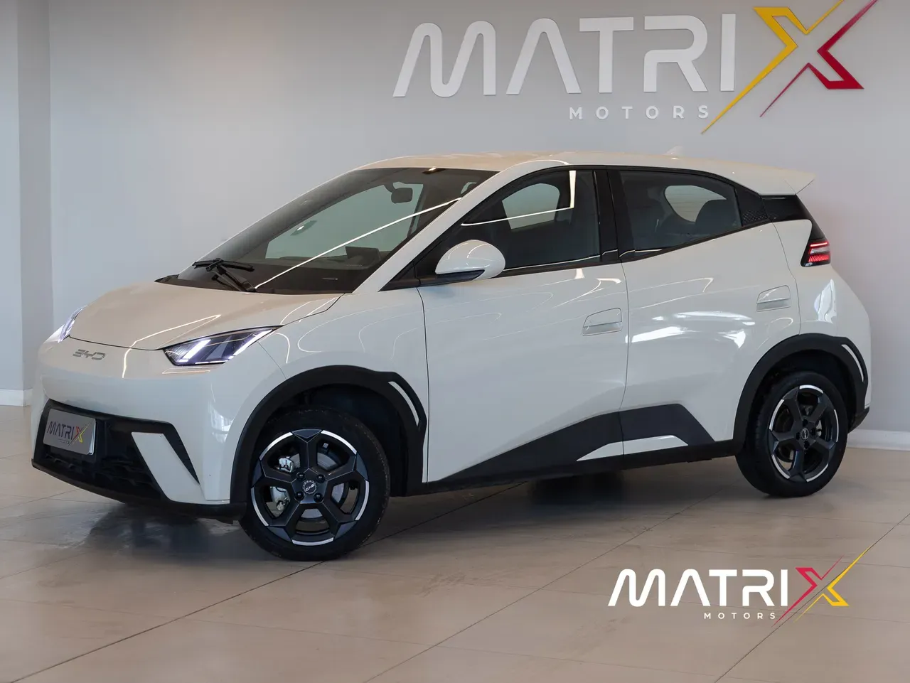 BYD Dolphin Mini - Imagem 18