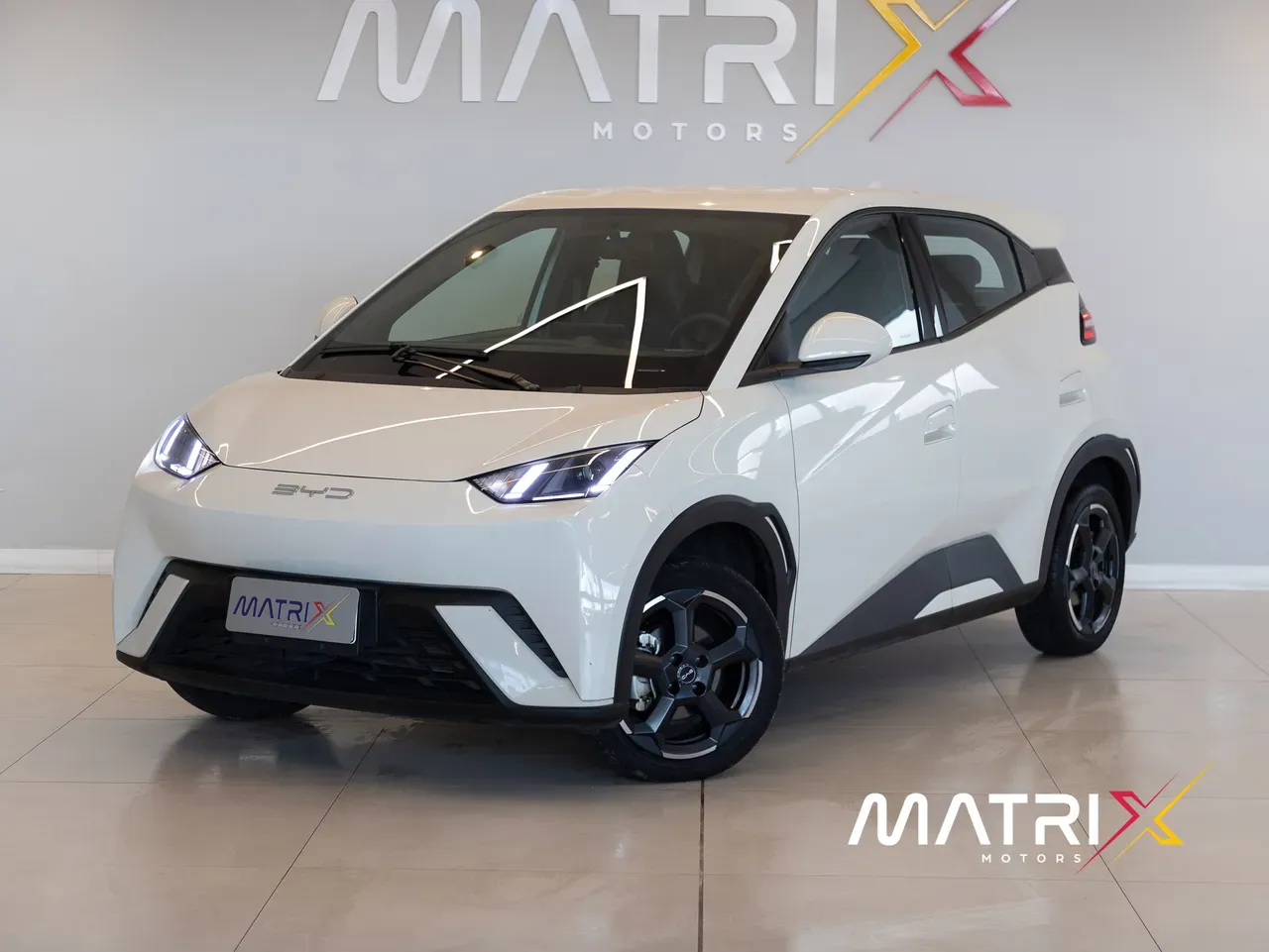 BYD Dolphin Mini - Imagem 19