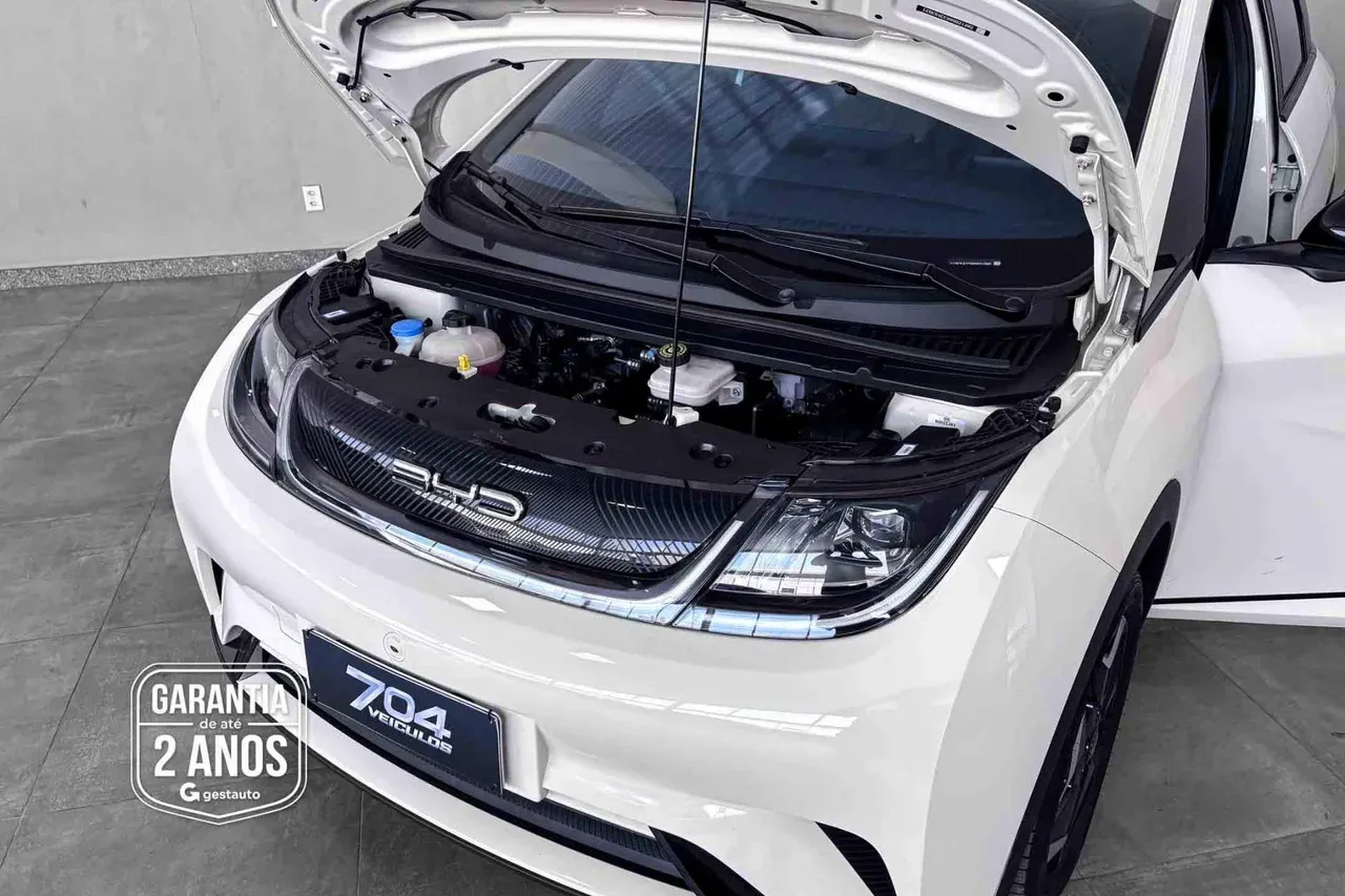 BYD Dolphin - Imagem 6