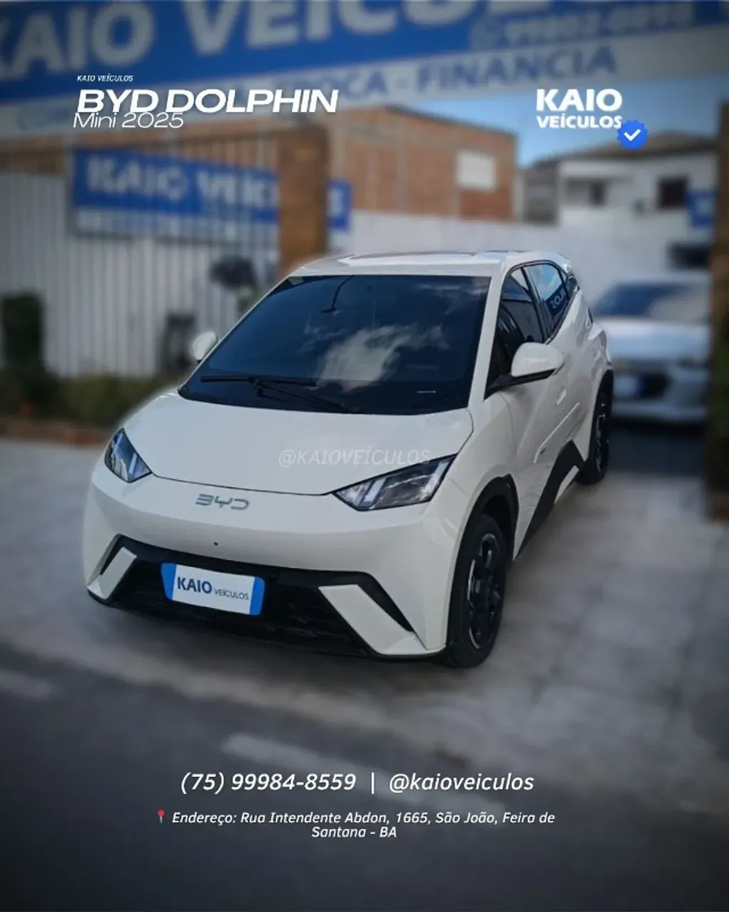 BYD Dolphin Mini - Imagem 3