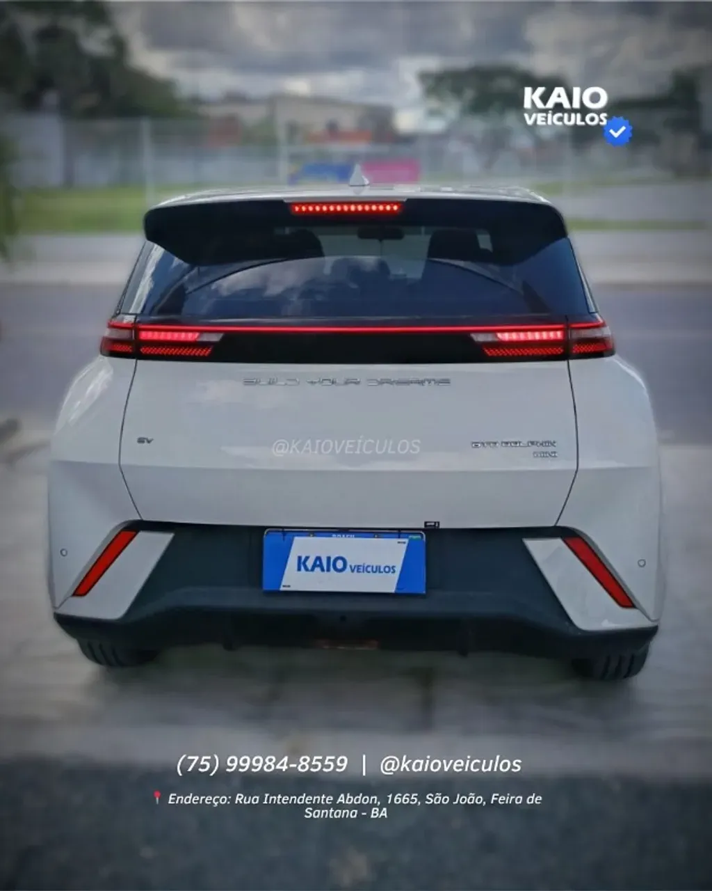 BYD Dolphin Mini - Imagem 7