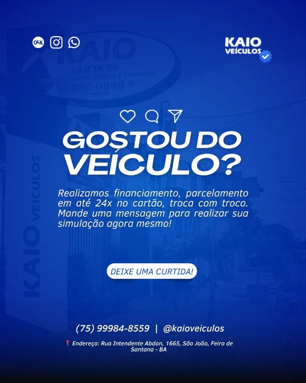 BYD Dolphin Mini - Imagem 11