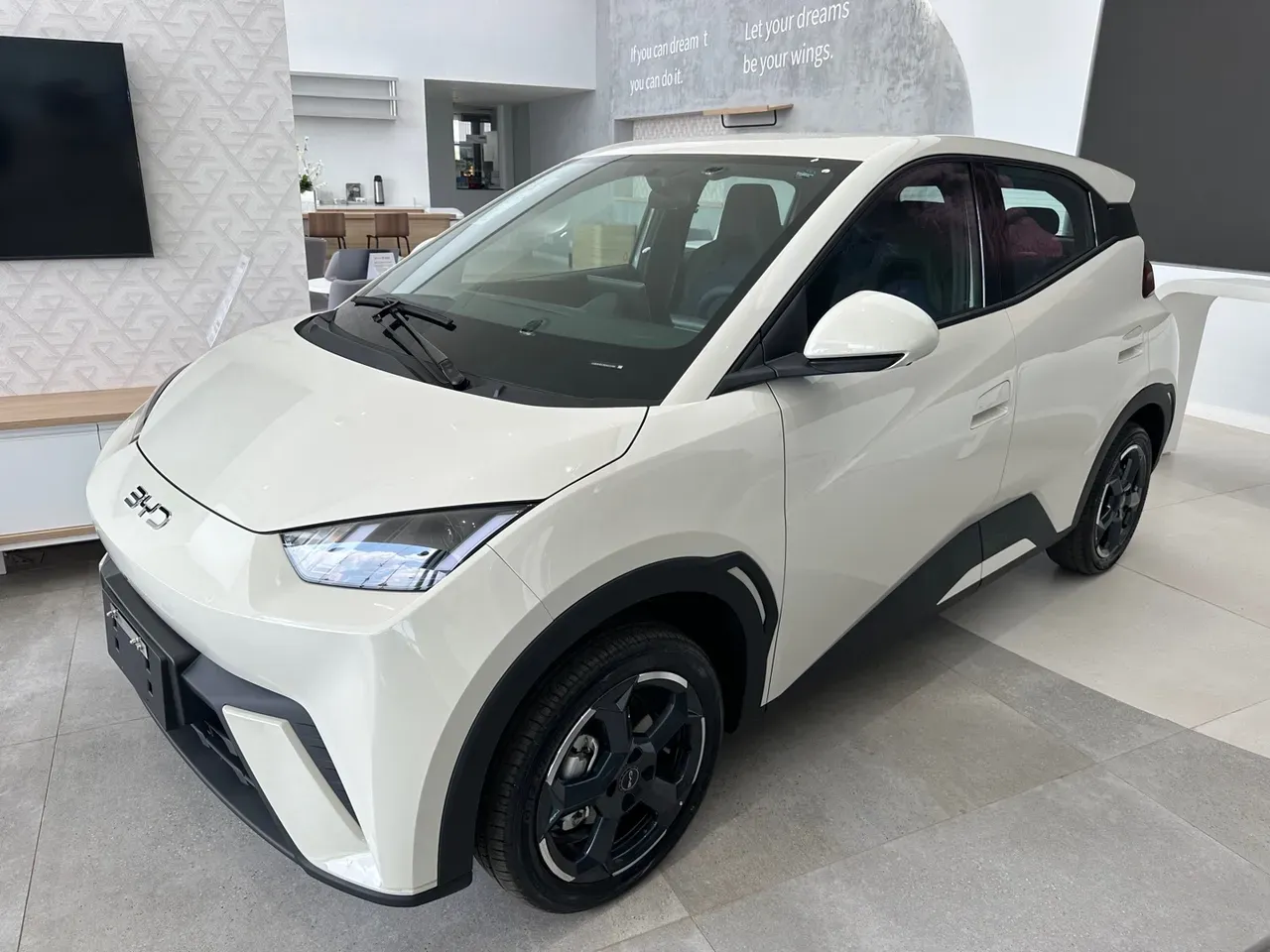 BYD Dolphin Mini - Imagem 2