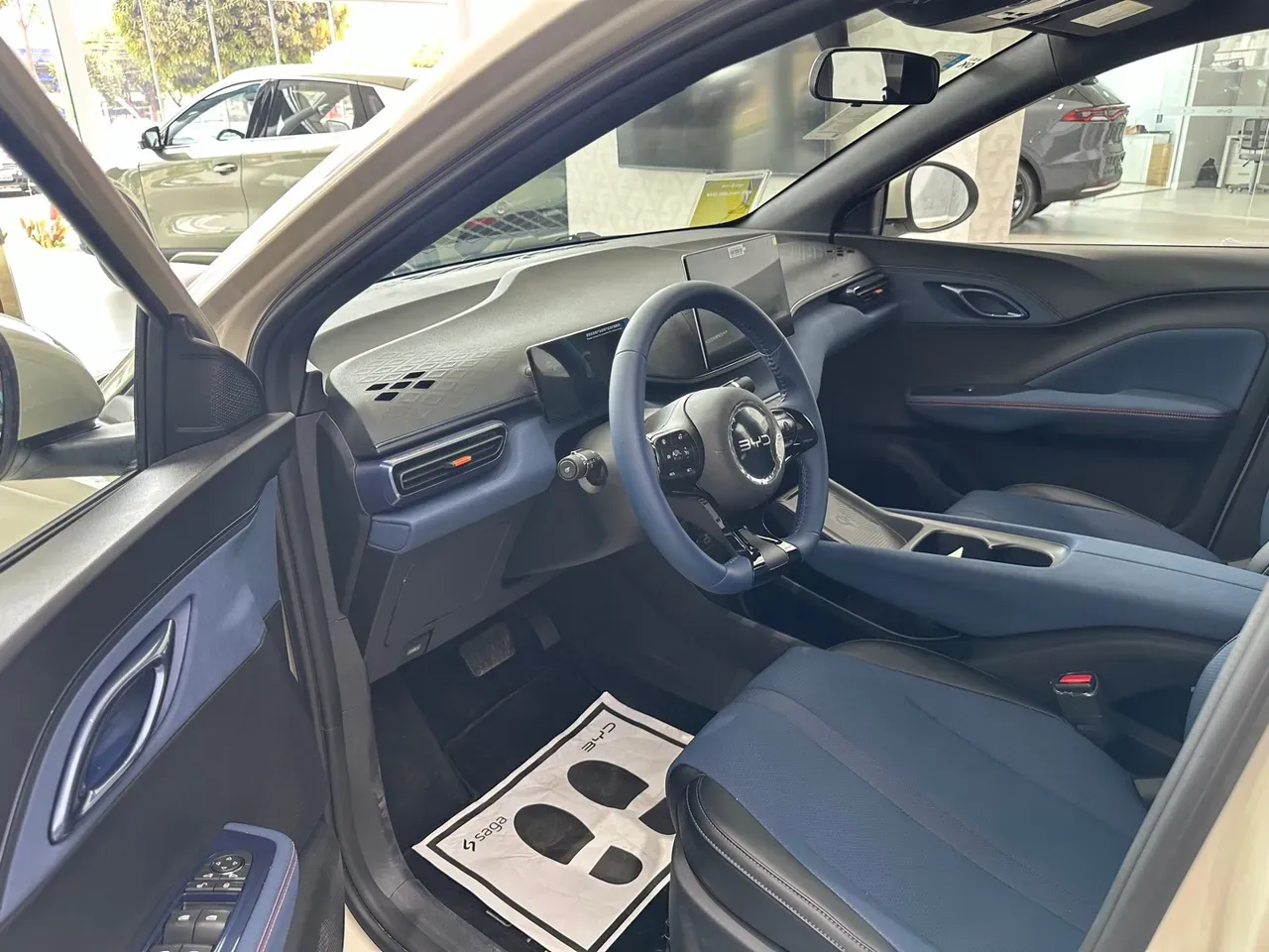 BYD Dolphin Mini - Imagem 11