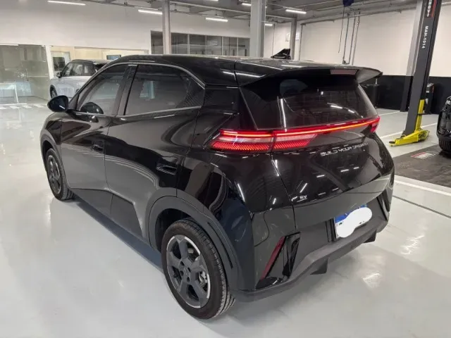 BYD Dolphin Mini - Imagem 2