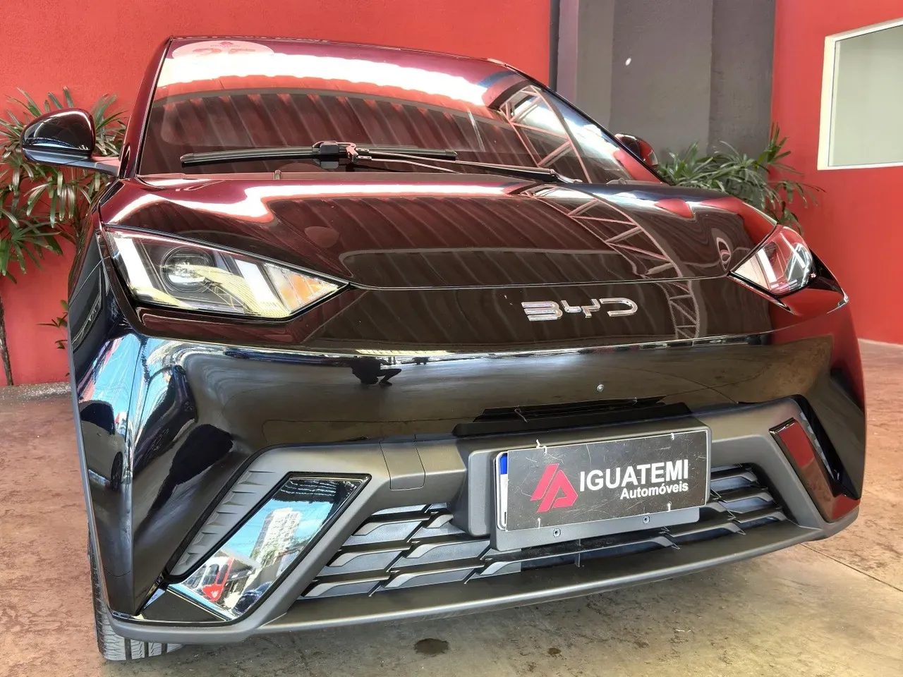 BYD Dolphin Mini - Imagem 3