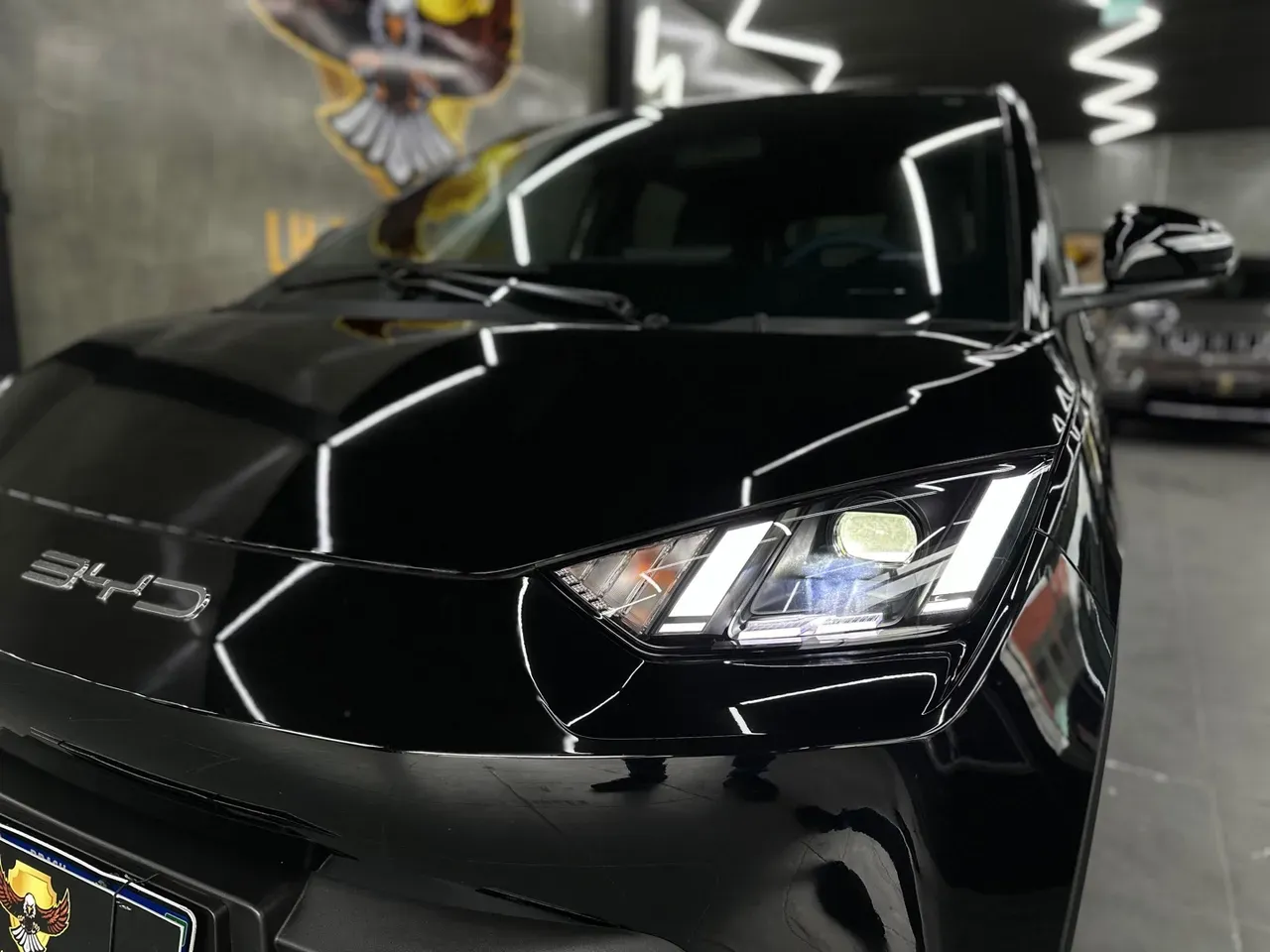 BYD Dolphin Mini - Imagem 4