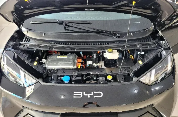 BYD Dolphin Mini - Imagem 15