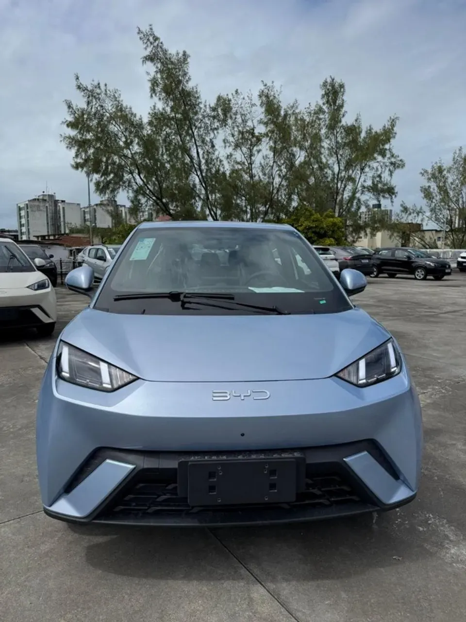 BYD Dolphin Mini - Imagem 7