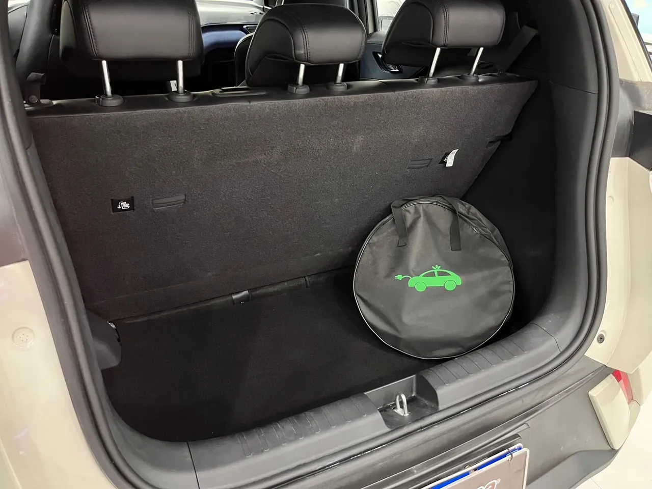 BYD Dolphin Mini - Imagem 18