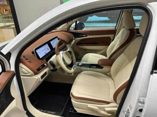 GWM Ora 03 - Imagem 6