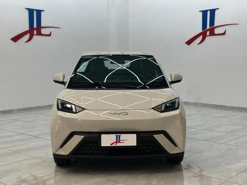BYD Dolphin - Imagem 2