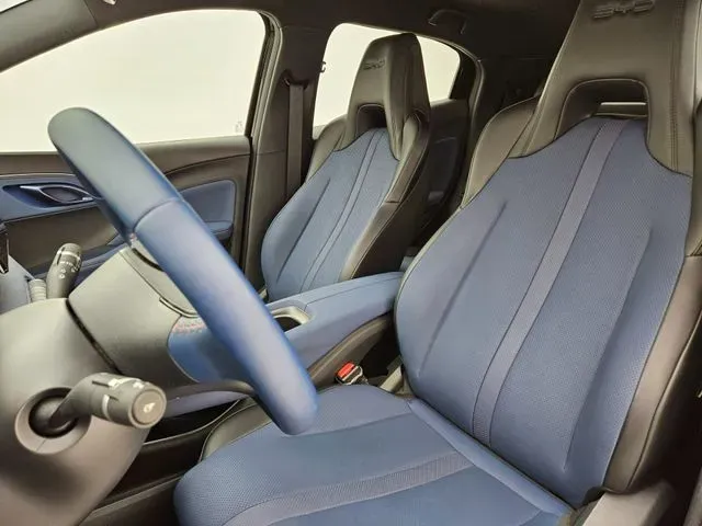 BYD Dolphin Mini - Imagem 8