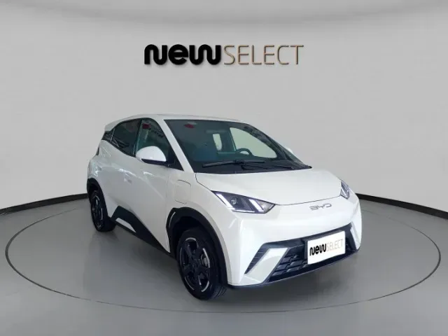 BYD Dolphin Mini - Imagem 8