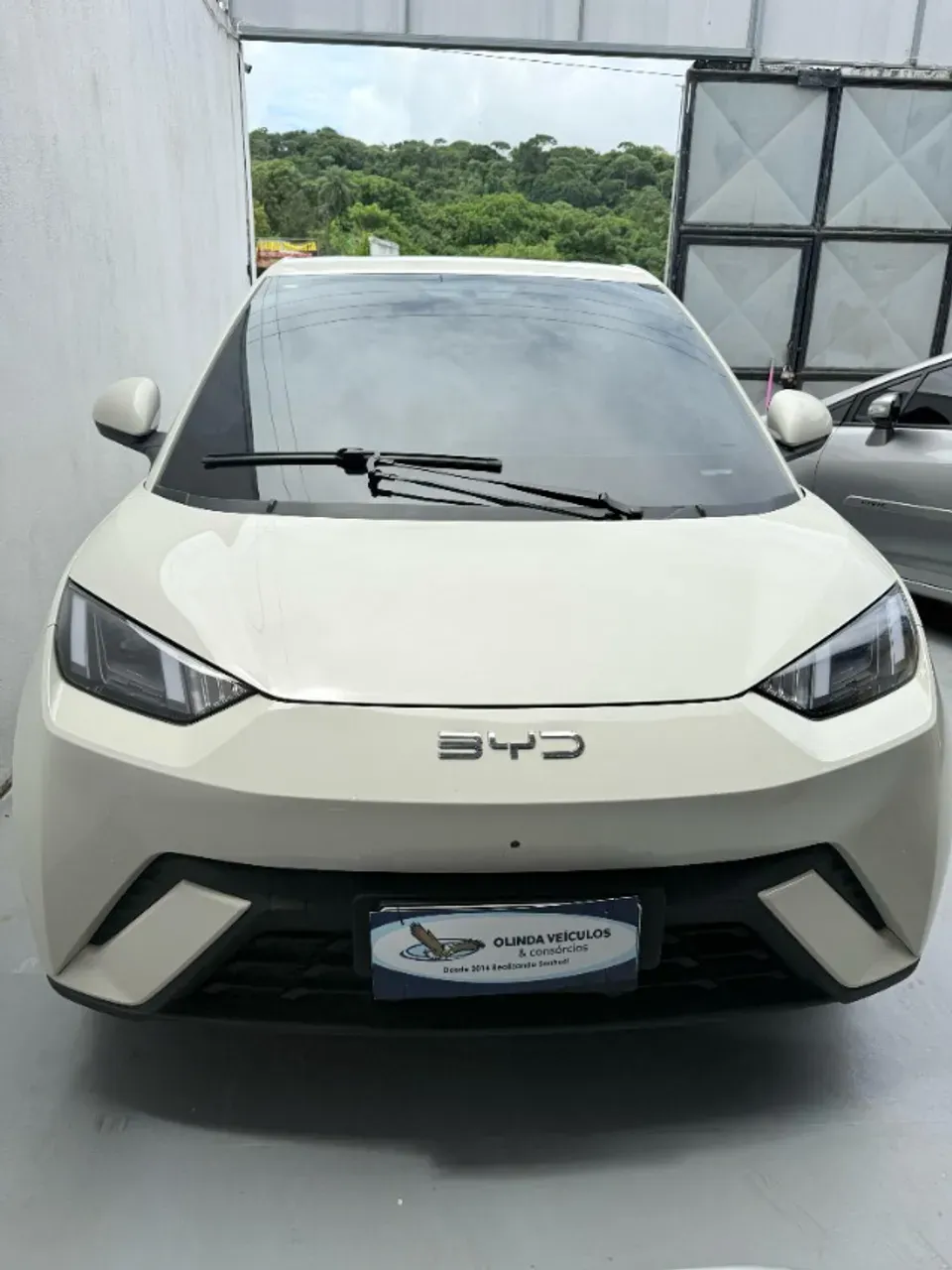 BYD Dolphin - Imagem 3