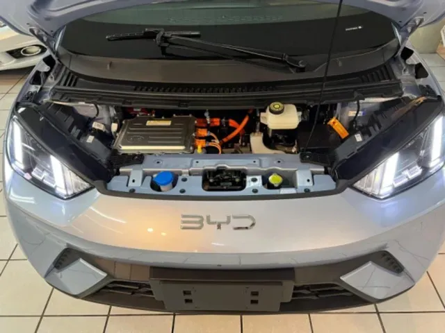 BYD Dolphin Mini - Imagem 12