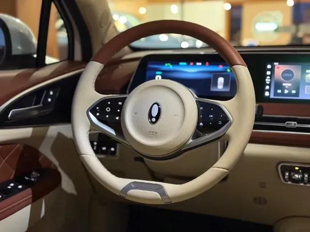 GWM Ora 03 - Imagem 5