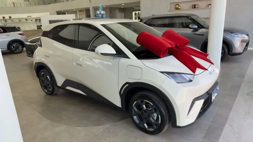 BYD Dolphin Mini - Imagem 2