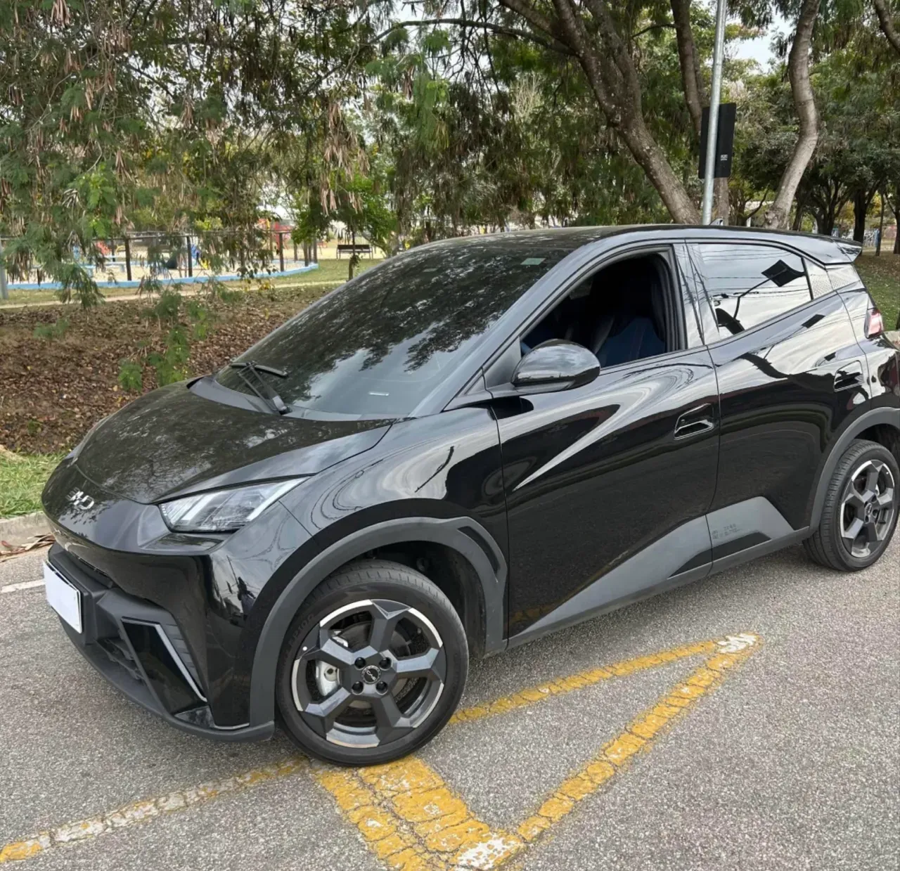 BYD Dolphin Mini - Imagem 2