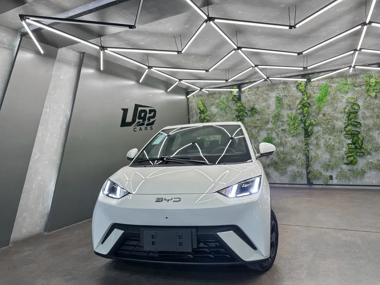 BYD Dolphin Mini - Imagem 4