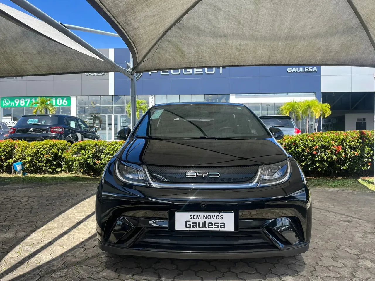 BYD Dolphin - Imagem 2