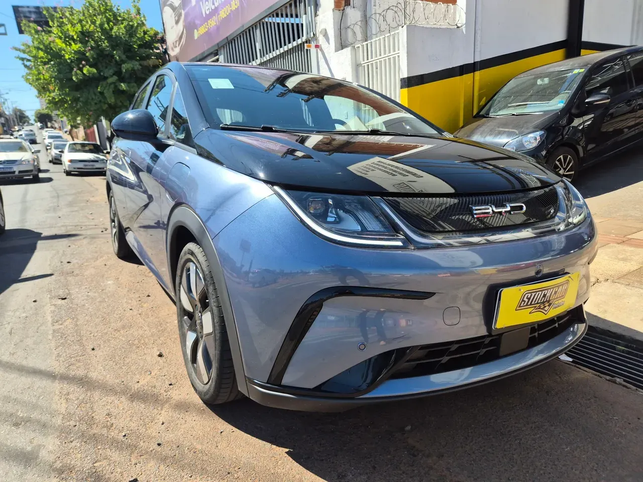 BYD Dolphin Plus - Imagem 3