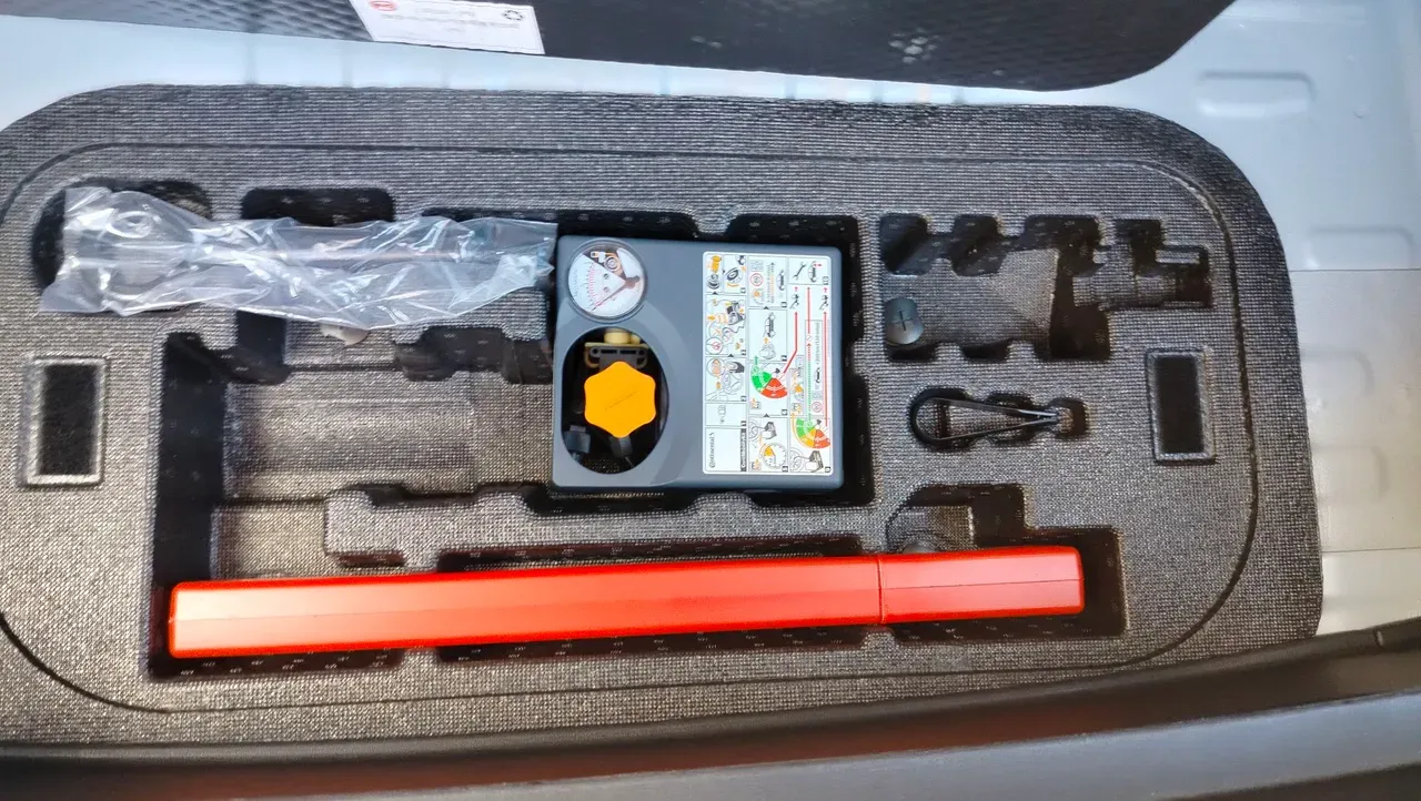 BYD Dolphin Plus - Imagem 13