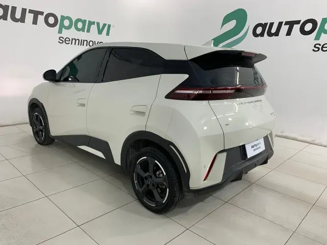 BYD Dolphin Mini - Imagem 8