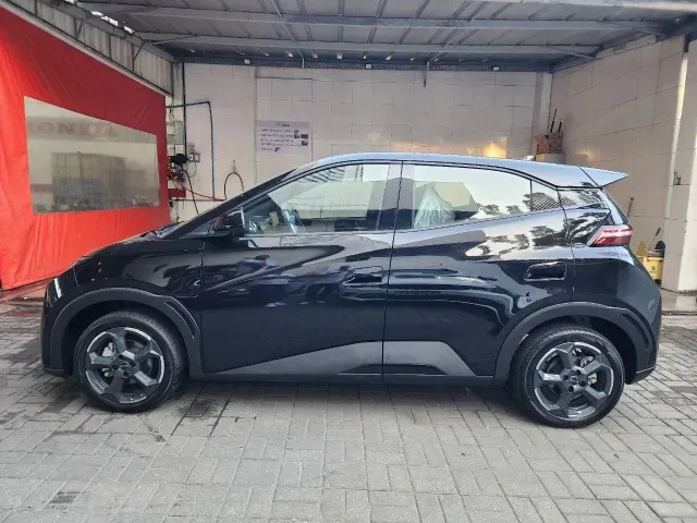 BYD Dolphin Mini - Imagem 2