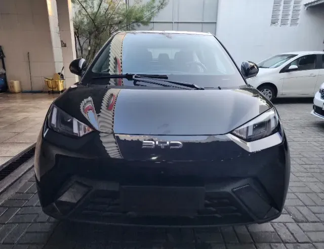 BYD Dolphin Mini - Imagem 3