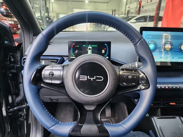 BYD Dolphin Mini - Imagem 16