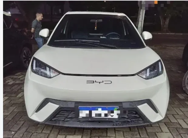 BYD Dolphin Mini - Imagem 2