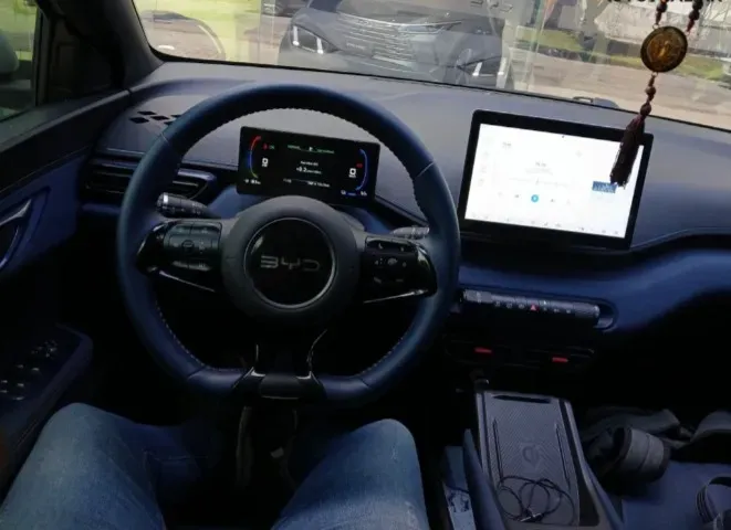 BYD Dolphin Mini - Imagem 8