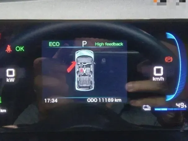 BYD Dolphin Mini - Imagem 11