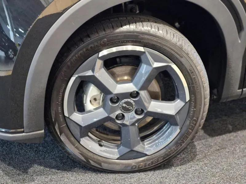 BYD Dolphin Mini - Imagem 5