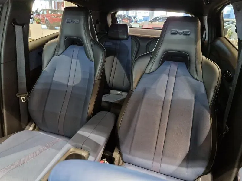 BYD Dolphin Mini - Imagem 15