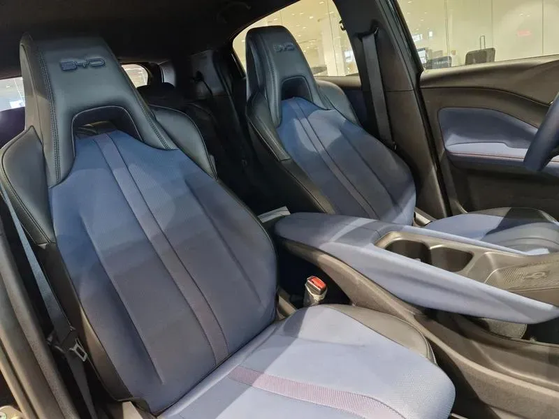 BYD Dolphin Mini - Imagem 16