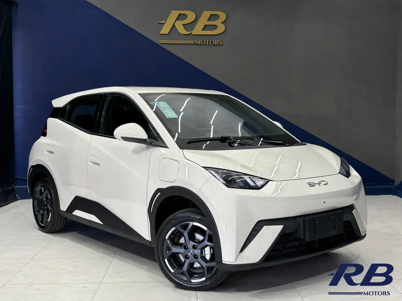 BYD Dolphin Mini - Imagem 9