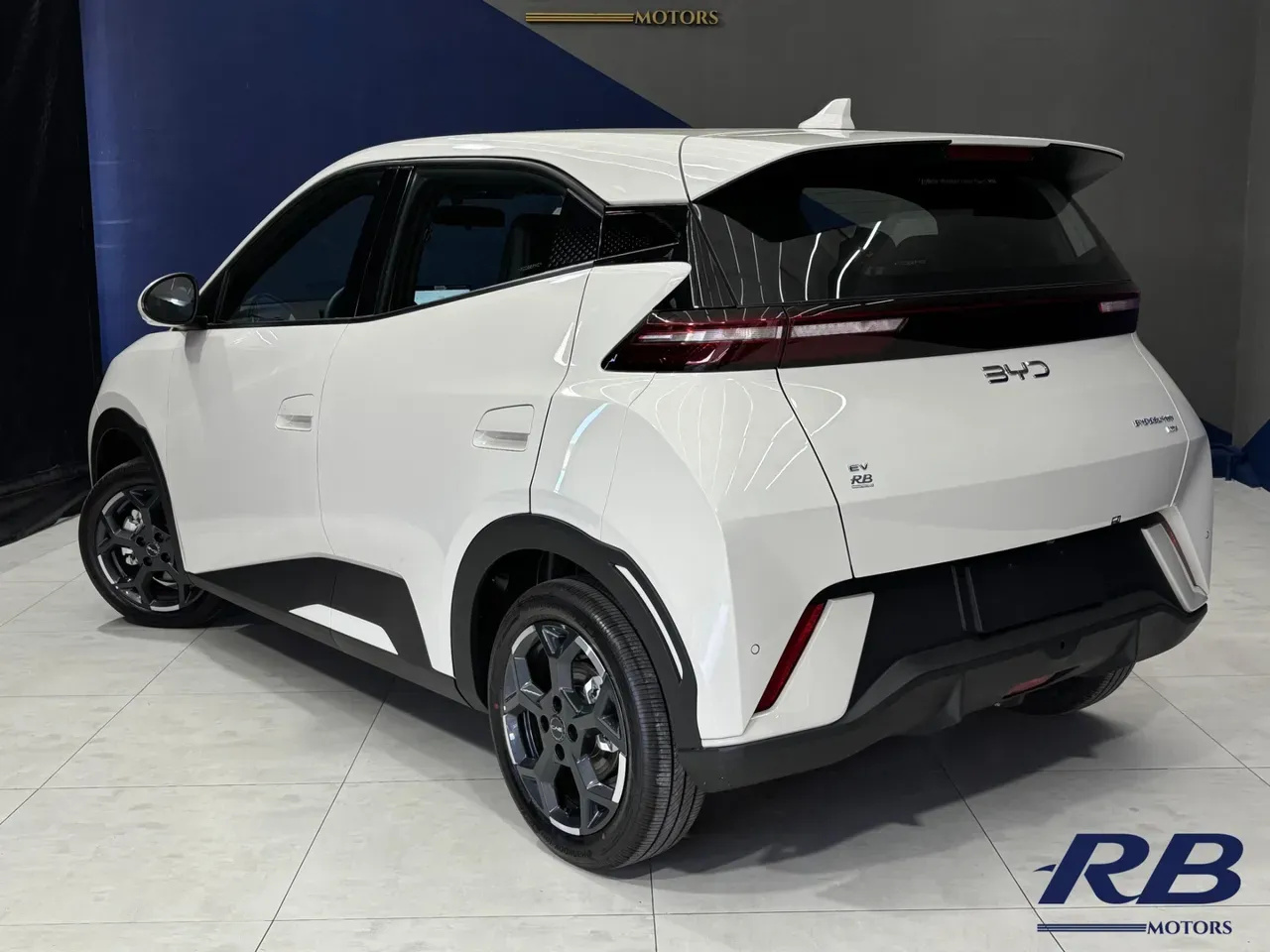 BYD Dolphin Mini - Imagem 17